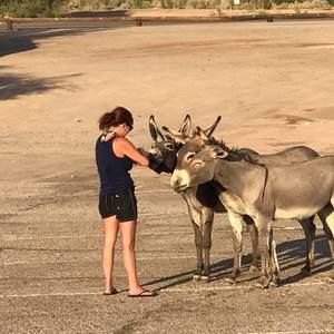 Meet your Posher, Debbie